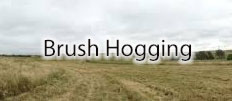 Field & Lot Mowing Services