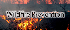 Wildfire Prevention Services